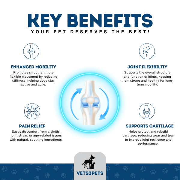 Joint Support Powder