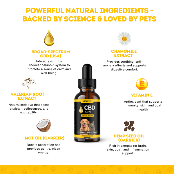 Premium CBD Oil