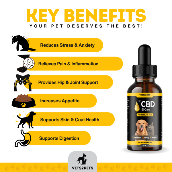 Premium CBD Oil