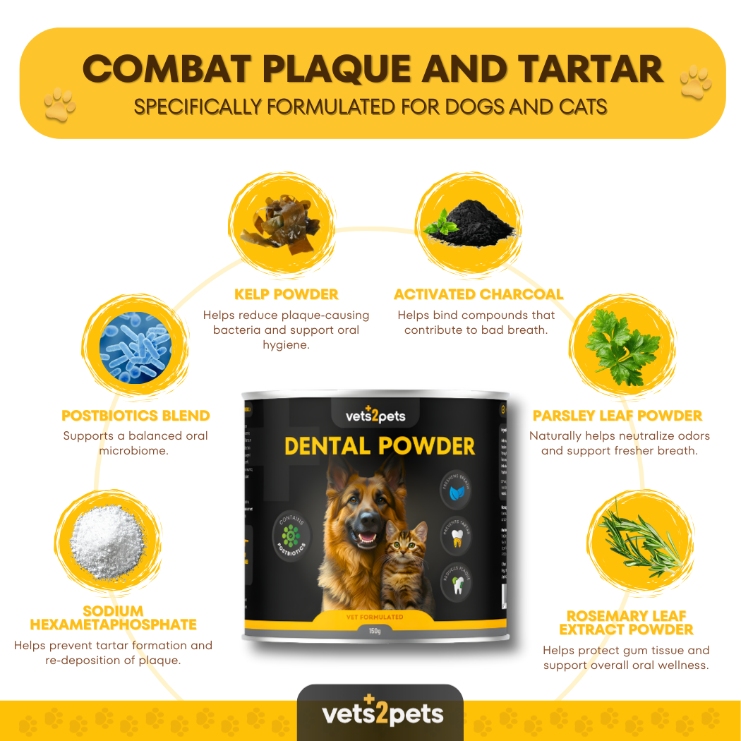 Dental Plaque Powder