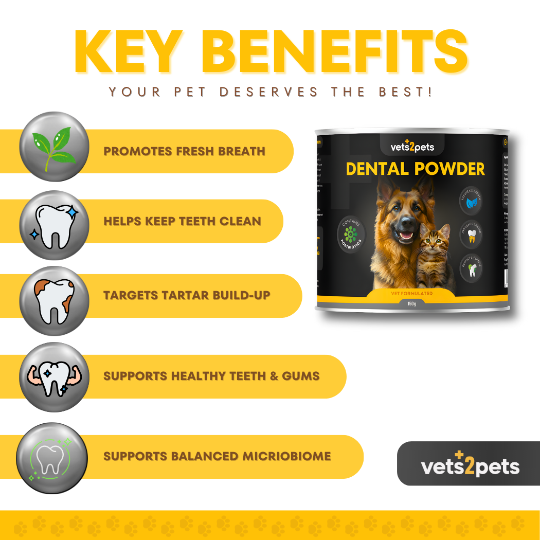 Dental Plaque Powder