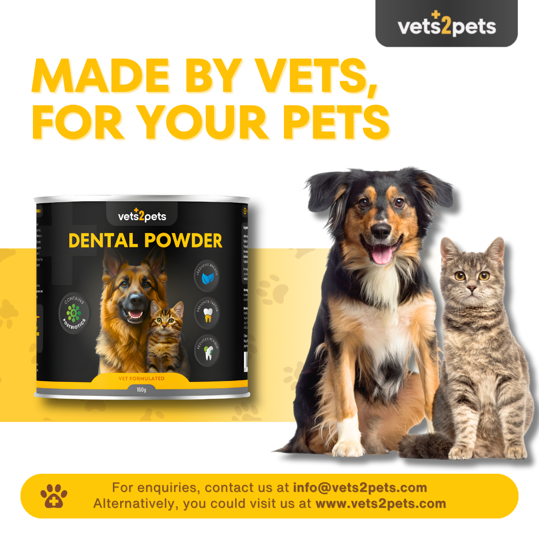 Dental Plaque Powder