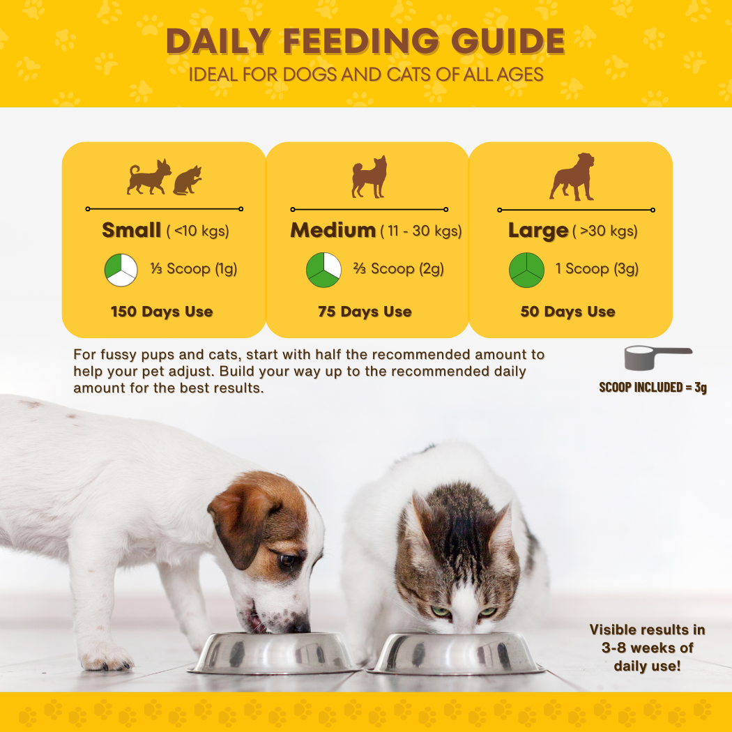 Dental Plaque Powder