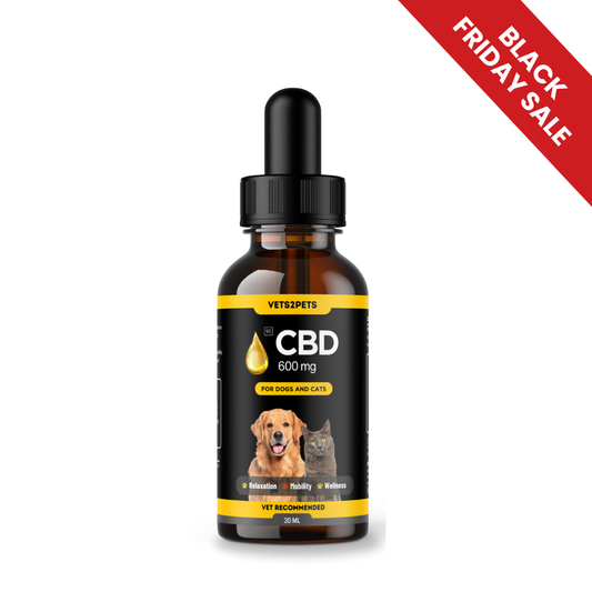Premium CBD Oil